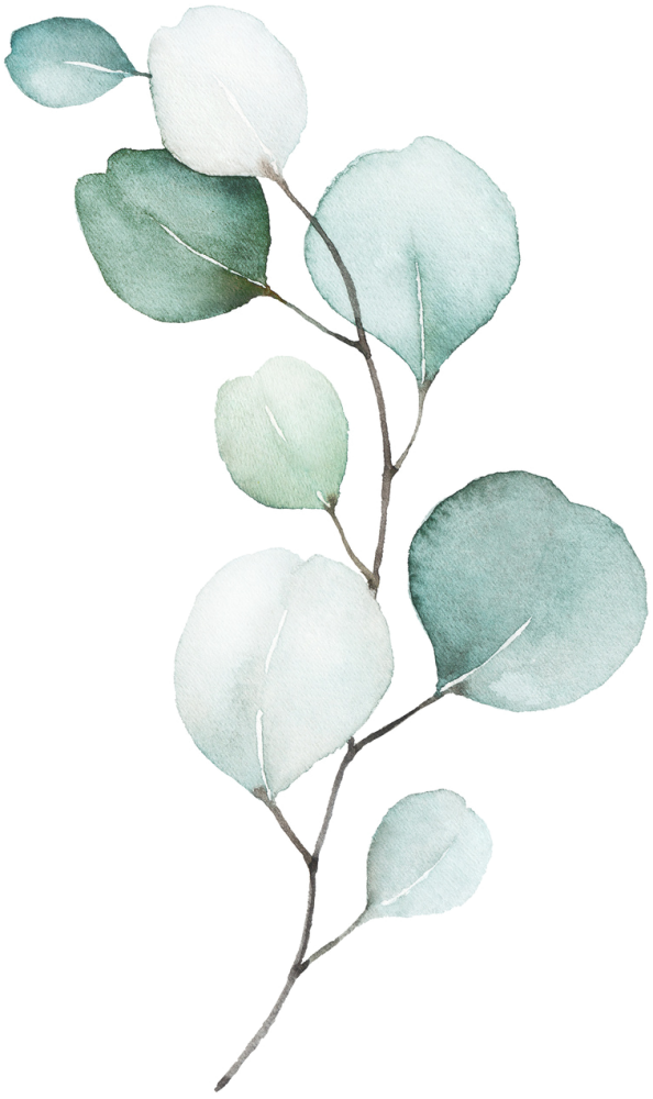 feuille