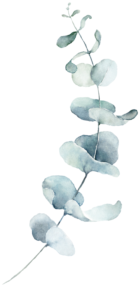 feuille