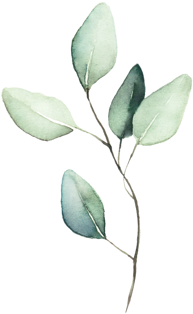 feuille