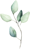 feuille