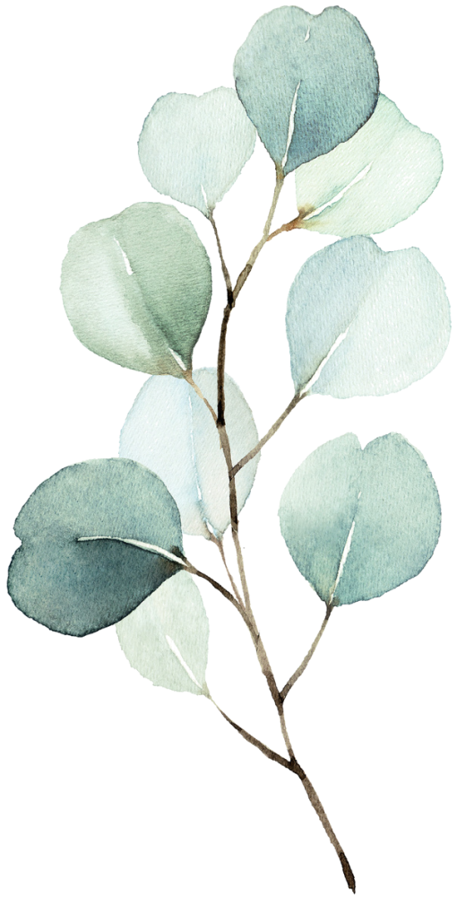 feuille